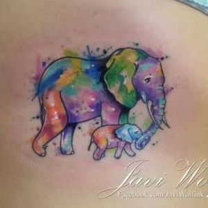 Meet your Posher, Terri